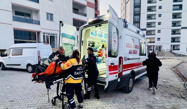 Amed de yew daîreya venge de tirmê cinîyêke ame vînayîş!