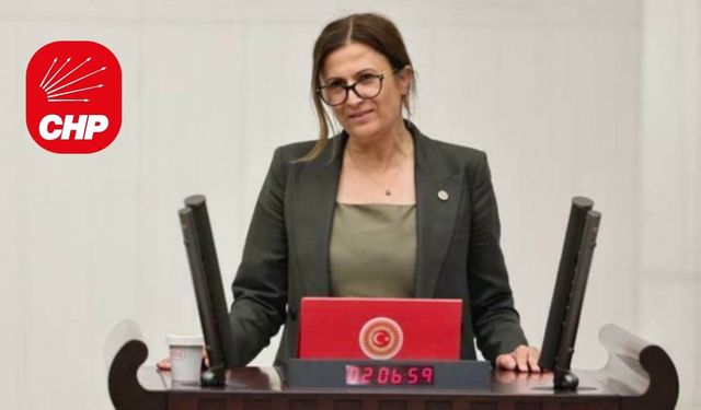 Türkan Elçiye qeydê xo yê Baroya Amedî esterit