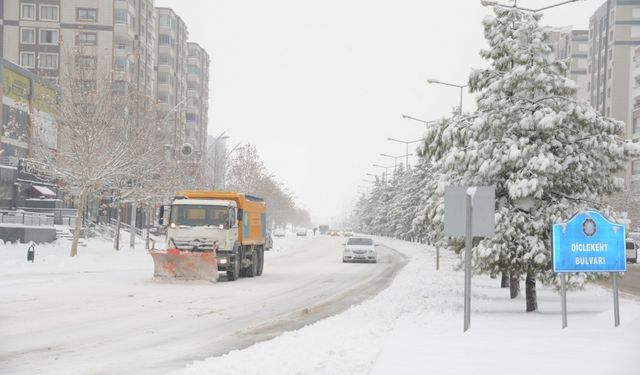 Şaredarîya Amedî nêverda wa vore erd ser o bimano
