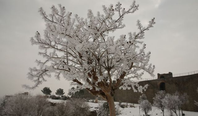 Amed de serd: Germîye kewte -6 dereceyan