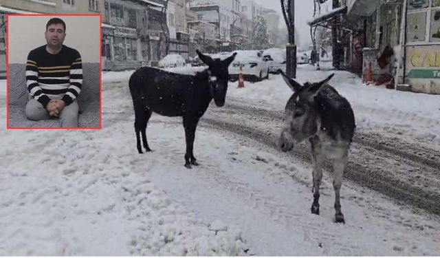 Çêrmûge de wayîrê di heranê bêwayîran vejîya