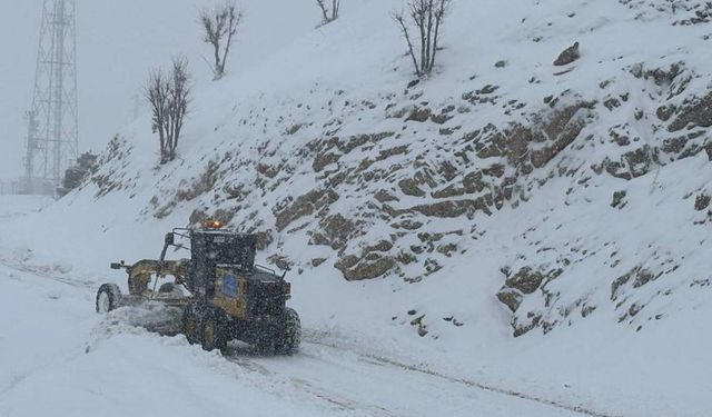 Bajaranê Kurdan de rayîrê 4 hezar û 786 dewan girewte yê