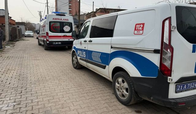 Amed de cinîyêk keyeyê xo de merde ameya vînayîş