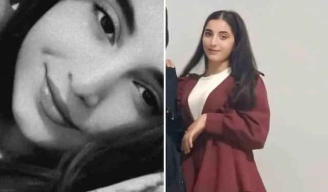 Amed de kênayêka 14 serre merde amey vînayîş