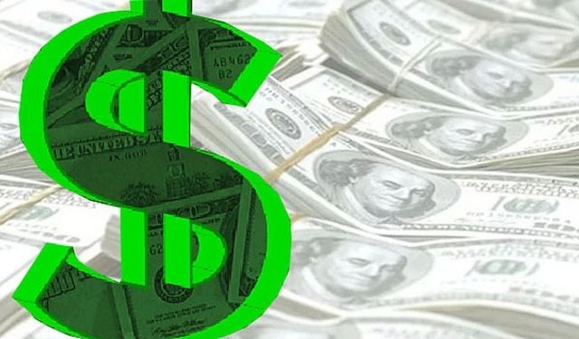 Lîraya Tirkî helîyena: Dolarî 44 lîra vîyarna