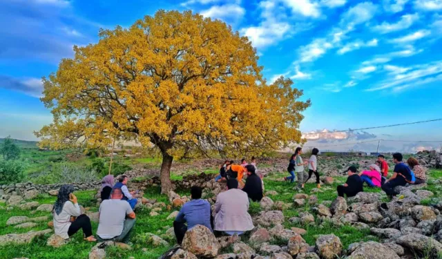 Sêwregi de yew Dara Zerde ya bimbareke