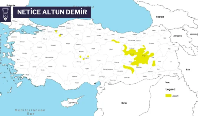 Gelo Îhtimal Est o Ke Kirmanckî Bi Destê Cenîyan Bixelesyo Çîrê û Senîn?