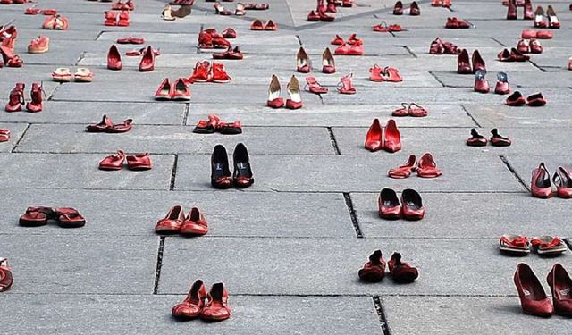 Tirkîya de aşma Adarê de 29 cinî ameyî kiştiş