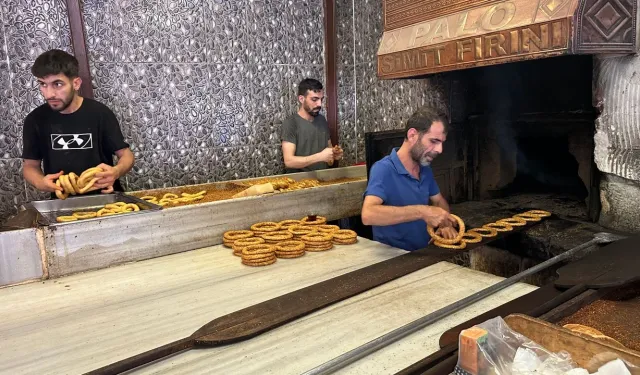 Dîyarbekir de firina sîmîtan ya 100 serrîye (Firina Palu)