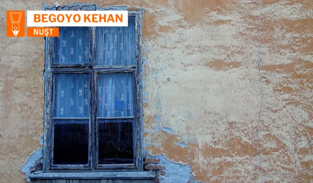 Wareyê Pîranî de vateyê verênan rê ewnayişêk