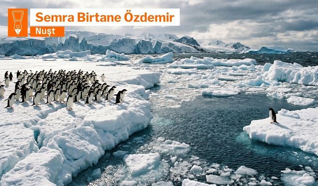 Germinîya globale û vurîyayîşê îklîmî