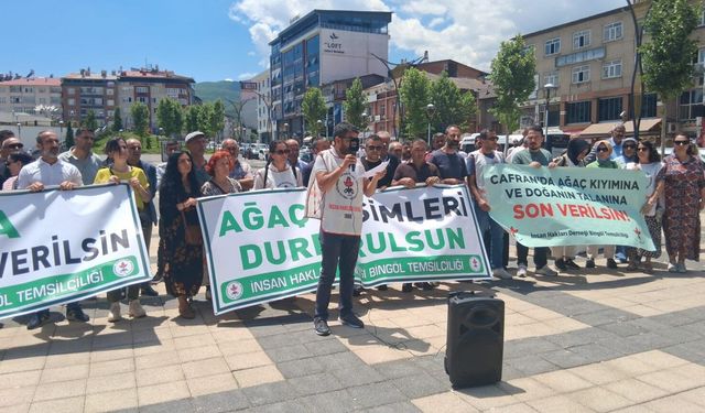 Şarê Çewlîgî vera birnayîşê daran vejîya meydan
