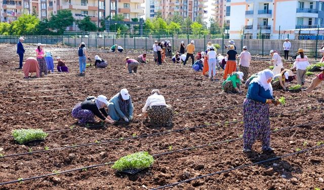 Cinîyanê Amedî seba şitilê firingî û rihan nayê ro