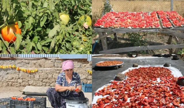Şarê Dêrsimî hadrekarîya zimistanî keno