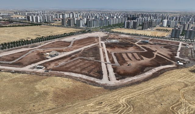 Na parka girde Amed de virazîyena