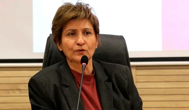 Sereka Meclîsê DTSOYî Nevîn Îl şîya heqîya xo ser