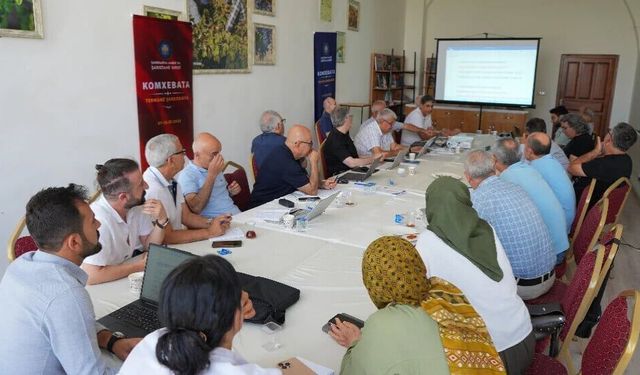 Amed de Komxebeta  Termînolojîyêka hempare