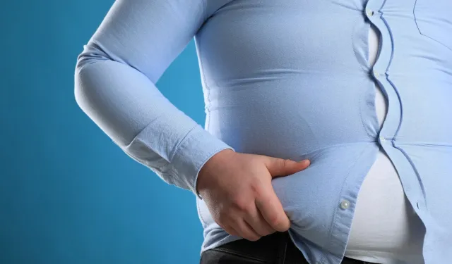 Rapor: Heta serra 2035î do nêmeyê însanan bibê obez!