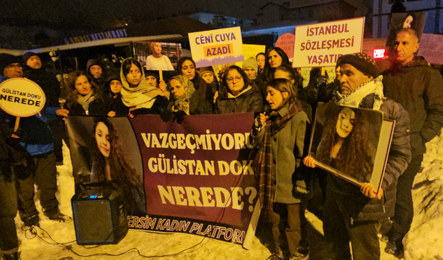 Tehqîqatê Gulistan Doku: Mabênê beyanê 176 kamerayan û dîmenanê Sarı Saltukî de nakokî