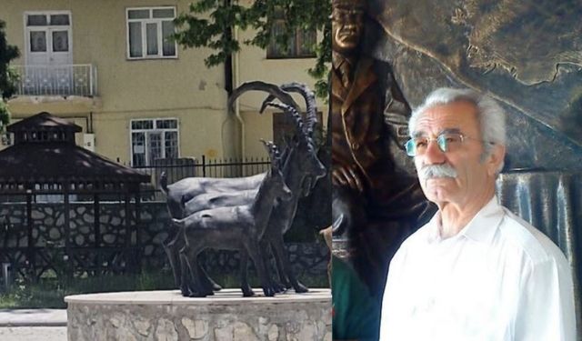Dêrsim: Otomobîl da kalikê 82 serrî ro, merd