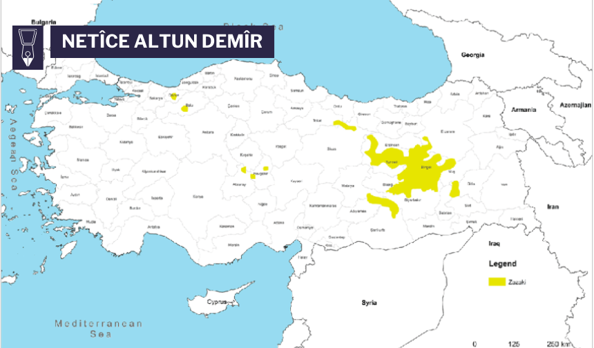 Gelo Îhtimal Est o Ke Kirmanckî Bi Destê Cenîyan Bixelesyo Çîrê û Senîn?