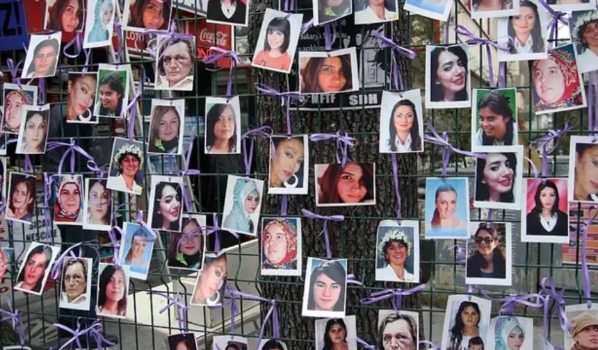 Camêrdan Adare de 17 cinî kiştê