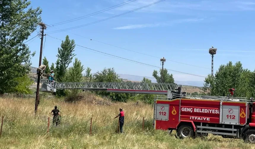 Beledîyeya Darahênî cayê Îtfaîye rot!