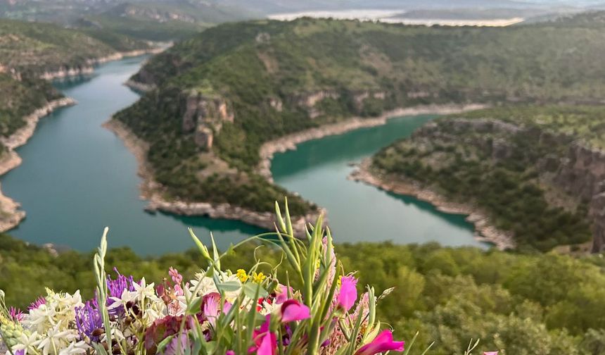 Zixirpey / Pîran