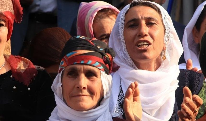 Amed de seba Roşanê Ziwanê Kurdkî çend aktîvîteyî virazîyenê