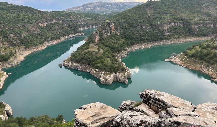 Amed de aboneyê ke destekê sosyalî gênê do 1 TL heqê awe bidê