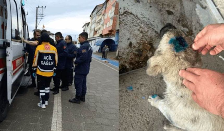 TIRKÎYA-Merdimêk yew kutik gaz kerd!