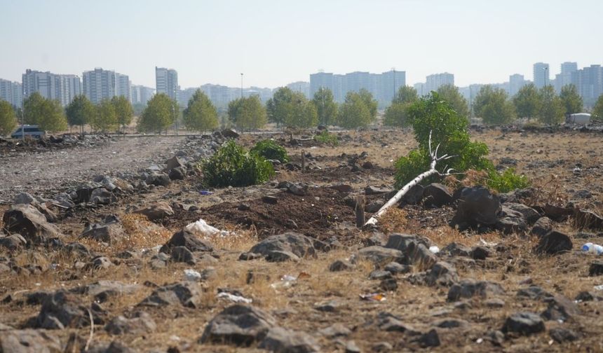 Amed de qetlîamê daran: 120 darî ameyî birînayîş
