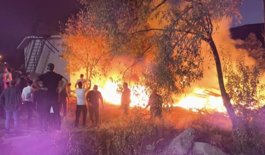 Dêrsîm de şîy veyve la adir kerdî hewna