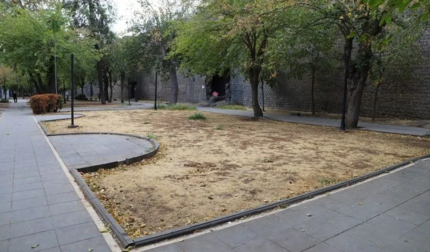 Amed de cinîyêk merde ameye vînayîş!