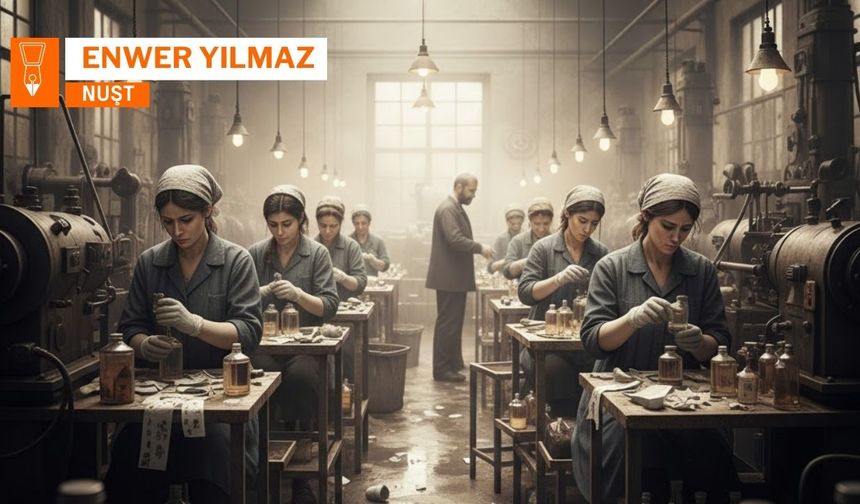 No welat de keda cinî û gedeyan ercan a!