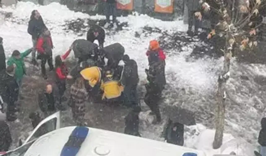 Çewlîg de vewre gan girewt: Cinîyêke merde