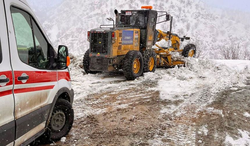 Amed de rayîrê dewan ke vewre ra qefilyaybî ameyî akerdiş