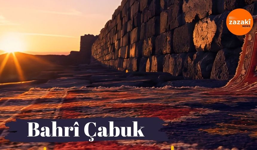 Bahrî Çabuk seba Roja Ziwanî ya Dayîke qisey keno