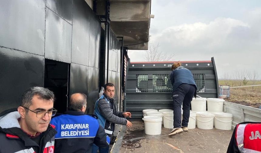 Amed de dest ronîya 460 kîlo penîro vîyarte ser