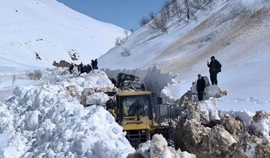Dêrsim: Rayîro girewte nêmend