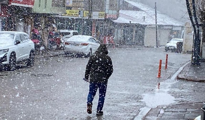 Çewlîg de ewro zî vore vara!