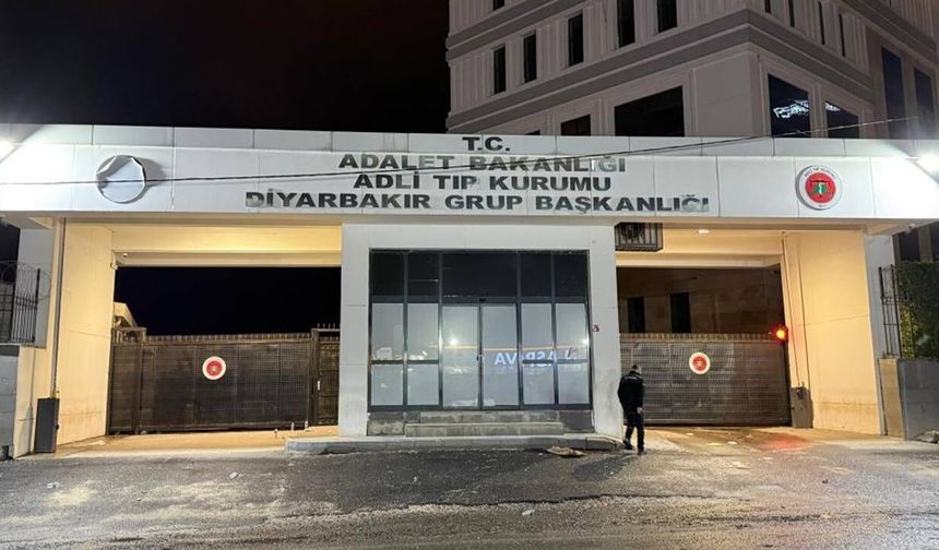 Amed de cinîyêk kişîyaya