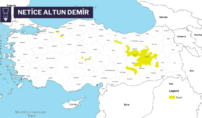 Gelo Îhtimal Est o Ke Kirmanckî Bi Destê Cenîyan Bixelesyo Çîrê û Senîn?