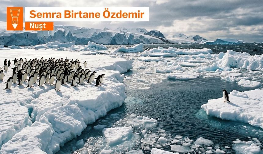 Germinîya globale û vurîyayîşê îklîmî