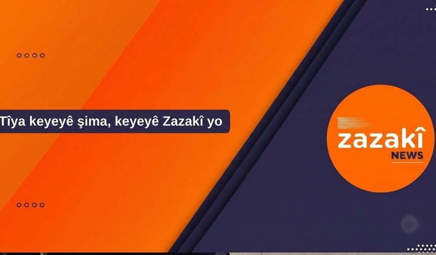 Zazakî Newsî hewteyêk de hewt makaleyî weşan kerdî