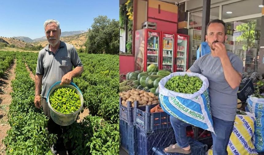 Îsotê Çêrmûge vejîyayo: Kîloyê ey 450 TL yo