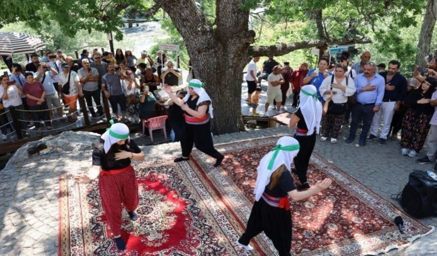 Festîvala Kultur û Xoza ya Dêrsimî bi rayraşîyayîşî ameye destpêkerdene