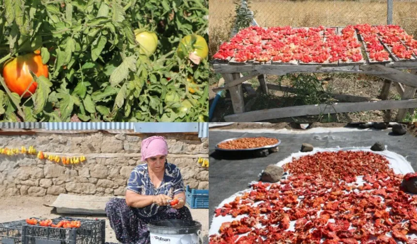 Şarê Dêrsimî hadrekarîya zimistanî keno