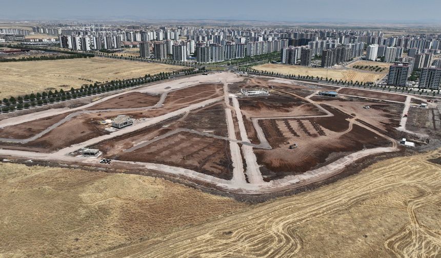 Na parka girde Amed de virazîyena