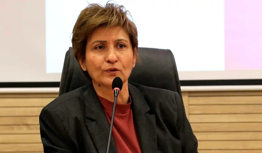Sereka Meclîsê DTSOYî Nevîn Îl şîya heqîya xo ser